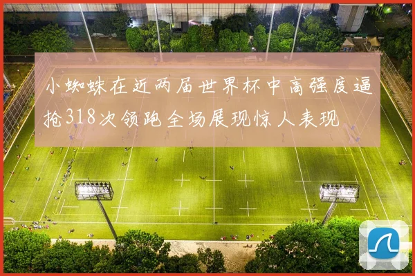 小蜘蛛在近两届世界杯中高强度逼抢318次领跑全场展现惊人表现