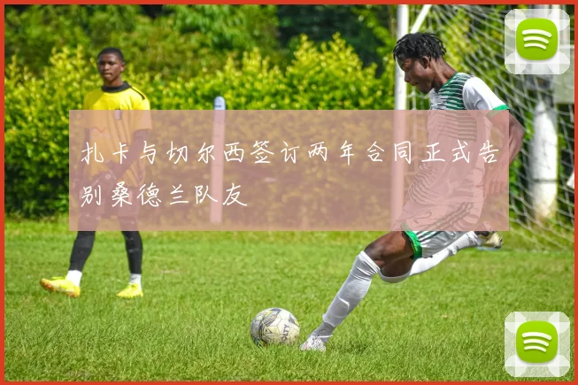 扎卡与切尔西签订两年合同正式告别桑德兰队友