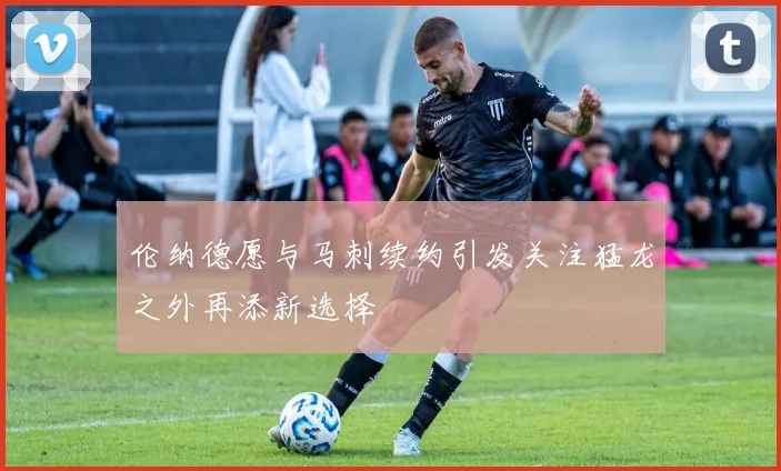 伦纳德愿与马刺续约引发关注猛龙之外再添新选择